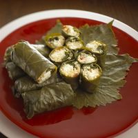 stuffed grape leaves